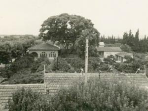 صورة قديمة من مدينة  بسباس  (الفترة الإستعمارية)