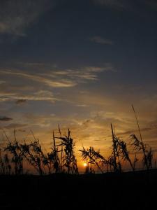 غروب الشمس على شاطئ  زرالدة