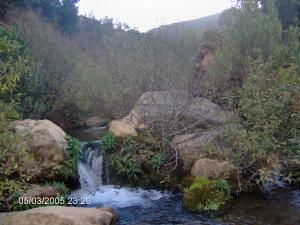 منبع وادي 'تافنة' بضواحي منطقة 'بني سنوس'