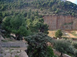 الغابة المجاورة لضريح 'سيدي عبد الله البعل' بأعالي مدينة 'تلمسان'