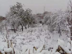 بلدية  المروج  تحت الثلوج (1)