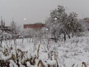 بلدية  المروج  تحت الثلوج (2)