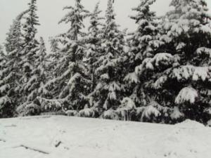 مدينة  المروج  تحت الثلوج 8