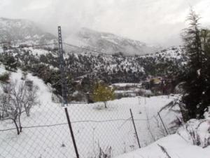 شوارع مدينة  المروج  تحت الثلوج  5