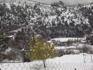 غابات بلدية  المروج  تحت الثلوج