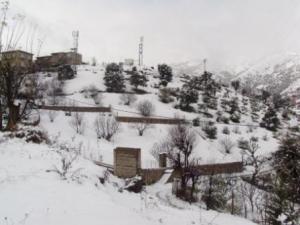 مدينة  المروج  تحت الثلوج 20