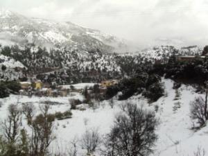 غابات بلدية  المروج  تحت الثلوج 1