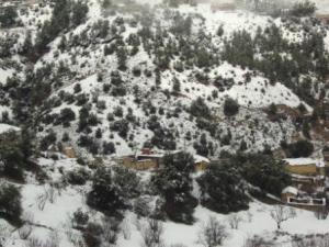 غابات بلدية  المروج  تحت الثلوج 2