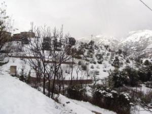 غابات بلدية  المروج  تحت الثلوج 4