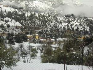 غابات بلدية  المروج  تحت الثلوج 5