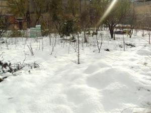 مدينة  المروج  تحت الثلوج 30