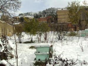 مدينة  المروج  تحت الثلوج 31