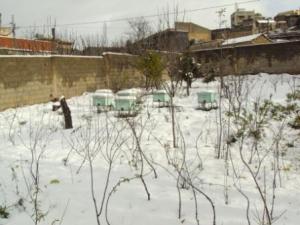 مدينة  المروج  تحت الثلوج 37