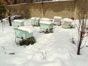 مدينة  المروج  تحت الثلوج 38