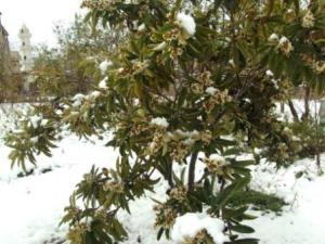 مدينة  المروج  تحت الثلوج 39