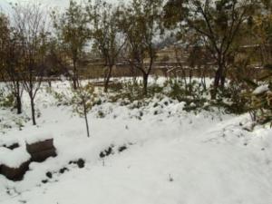 مدينة  المروج  تحت الثلوج 40