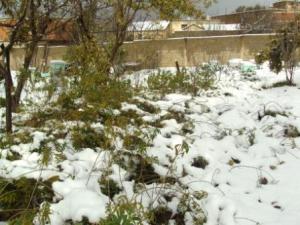 مدينة  المروج  تحت الثلوج 42