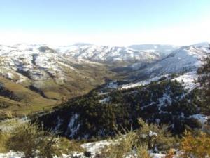 غابات بلدية  المروج  تحت الثلوج 6