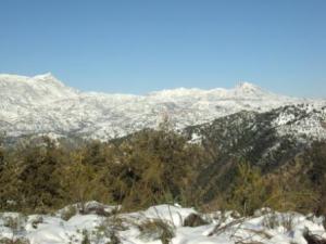 غابات بلدية  المروج  تحت الثلوج 7