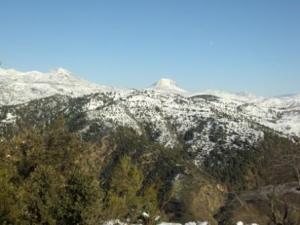 غابات بلدية  المروج  تحت الثلوج 9