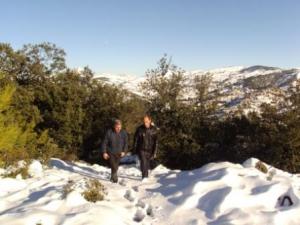 غابات بلدية  المروج  تحت الثلوج 10