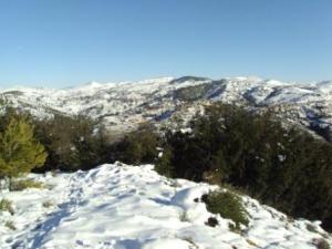 غابات بلدية  المروج  تحت الثلوج 11