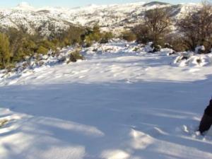 غابات بلدية  المروج  تحت الثلوج 12