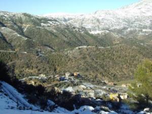 غابات بلدية  المروج  تحت الثلوج 14