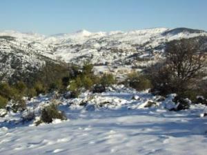 غابات بلدية  المروج  تحت الثلوج 15