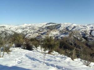 غابات بلدية  المروج  تحت الثلوج 18