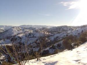 غابات بلدية  المروج  تحت الثلوج 19