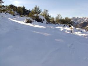 غابات بلدية  المروج  تحت الثلوج 20