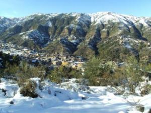 غابات بلدية  المروج  تحت الثلوج 22