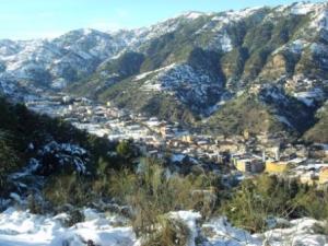 غابات بلدية  المروج  تحت الثلوج 24