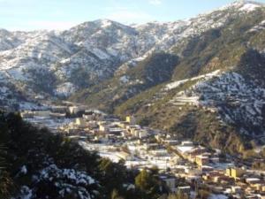 غابات بلدية  المروج  تحت الثلوج 27