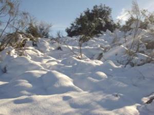 غابات بلدية  المروج  تحت الثلوج 30
