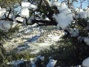 غابات بلدية  المروج  تحت الثلوج 31