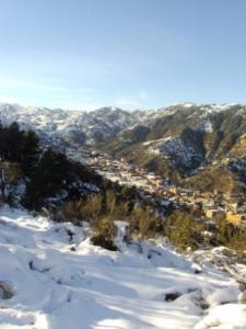 غابات بلدية  المروج  تحت الثلوج 35