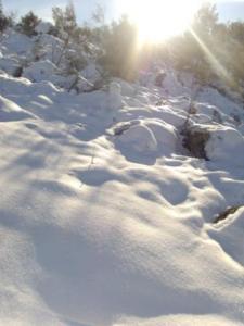 غابات بلدية  المروج  تحت الثلوج 36