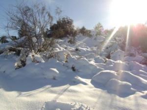 غابات بلدية  المروج  تحت الثلوج 37