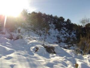 غابات بلدية  المروج  تحت الثلوج 38