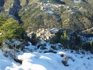 غابات بلدية  المروج  تحت الثلوج 41