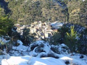 غابات بلدية  المروج  تحت الثلوج 42