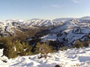 غابات بلدية  المروج  تحت الثلوج 43