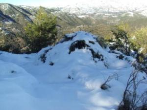 غابات بلدية  المروج  تحت الثلوج 44