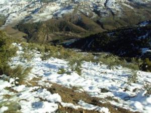 غابات بلدية  المروج  تحت الثلوج 45