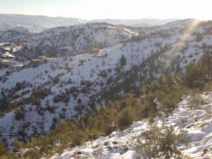 غابات بلدية  المروج  تحت الثلوج 47