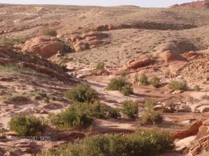 Paysage de la région de Oum Droue