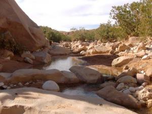 Les Gorges Naturelles de Oum Droua