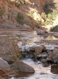 La Beauté de Oum Droua à El Bayadh